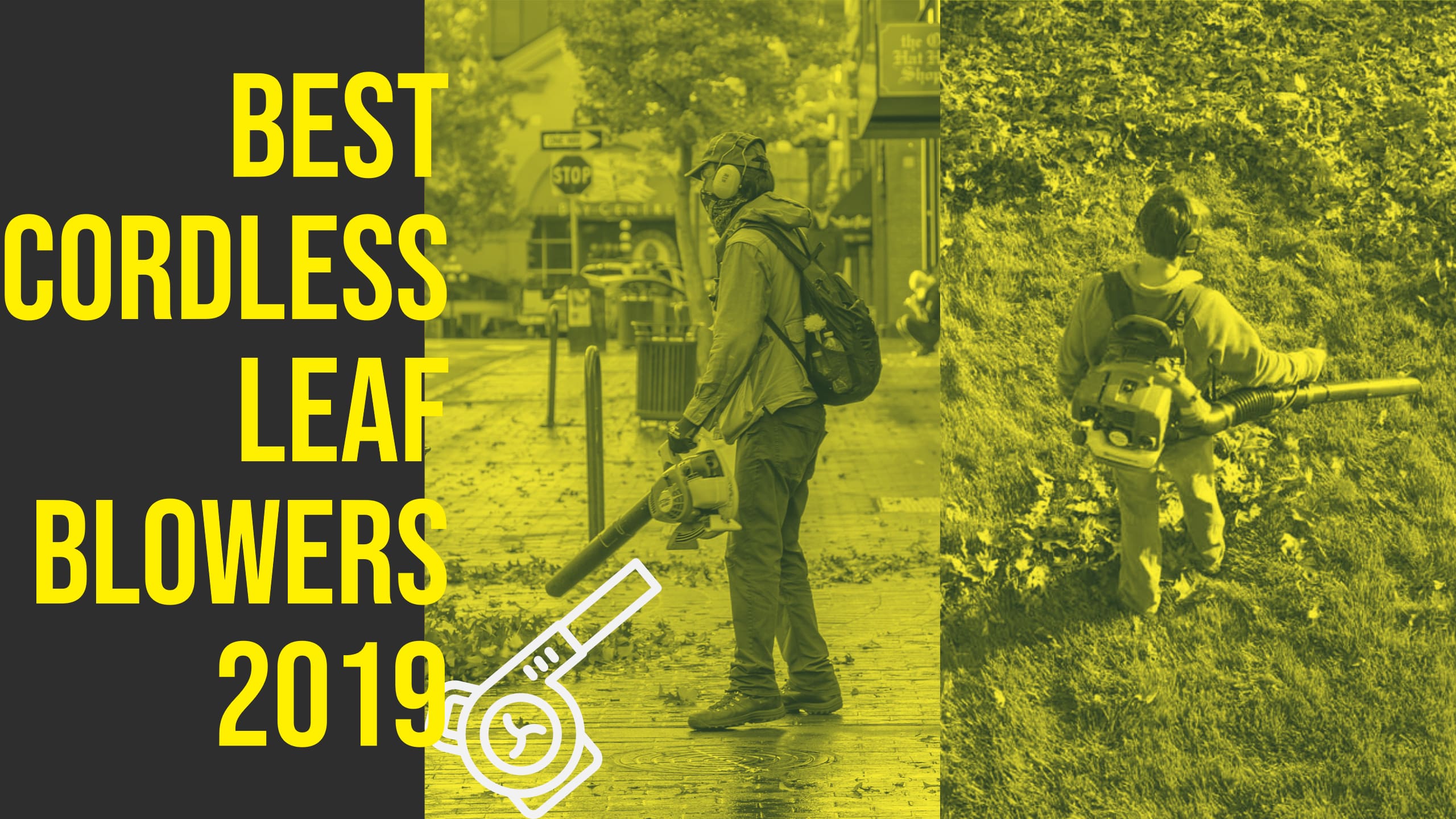 best cordless leaf blowers 2019