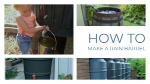 How to Make a Rain Barrel