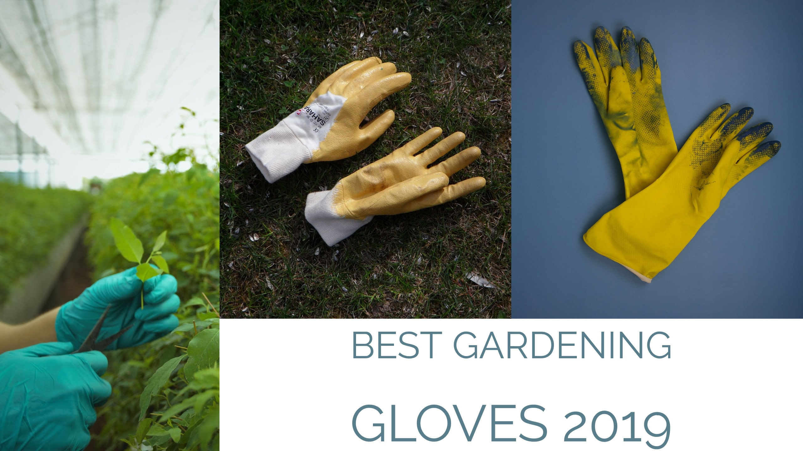 Best Gardening Gloves 2020 Reviews Buying Guide Comparison