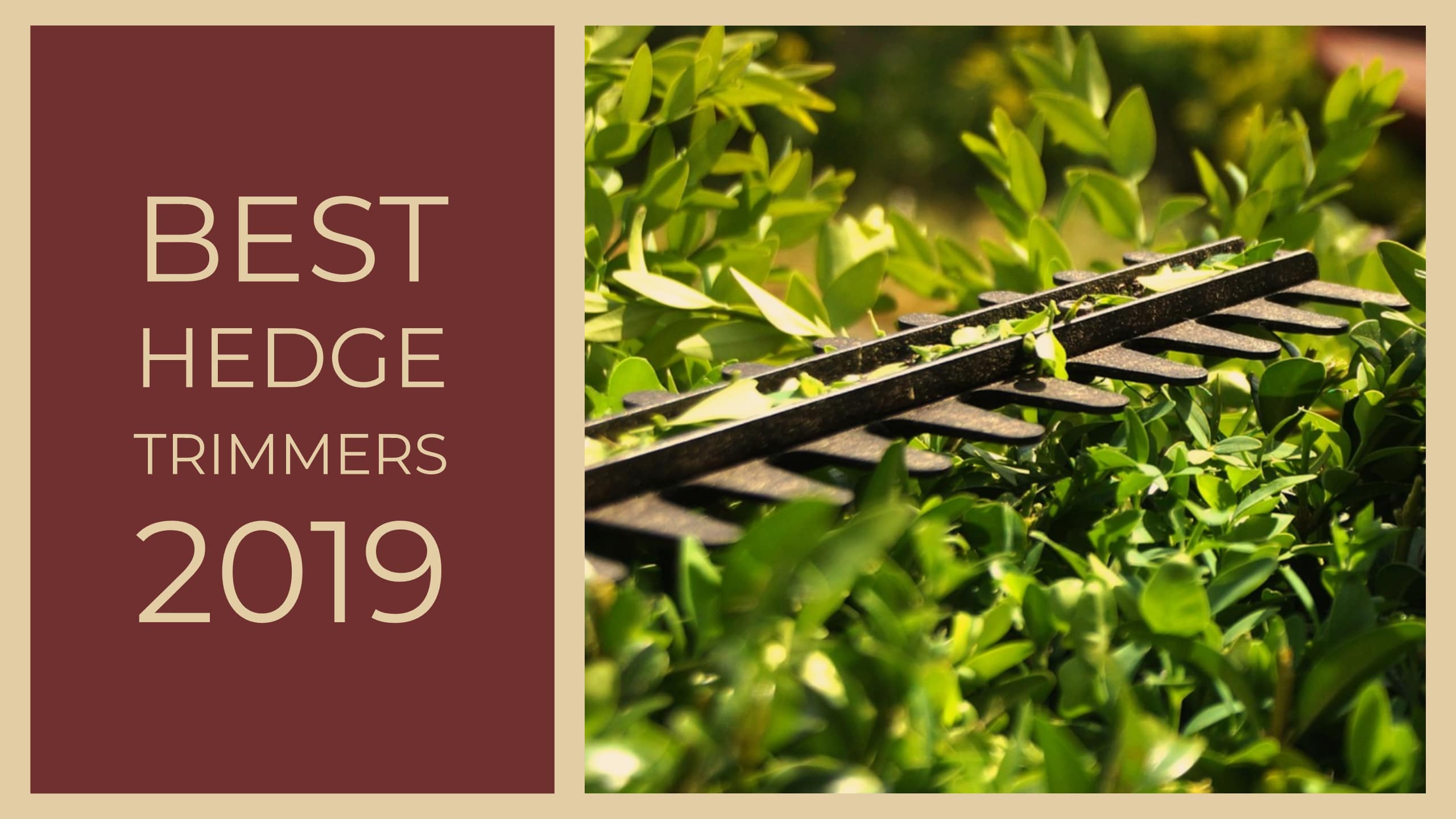 best hedge trimmers reviews
