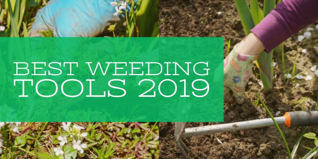 10 Best Weeding Tools 2020 Reviews, Ratings & Buying Guide