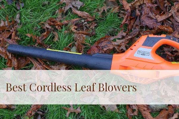 best leaf blower