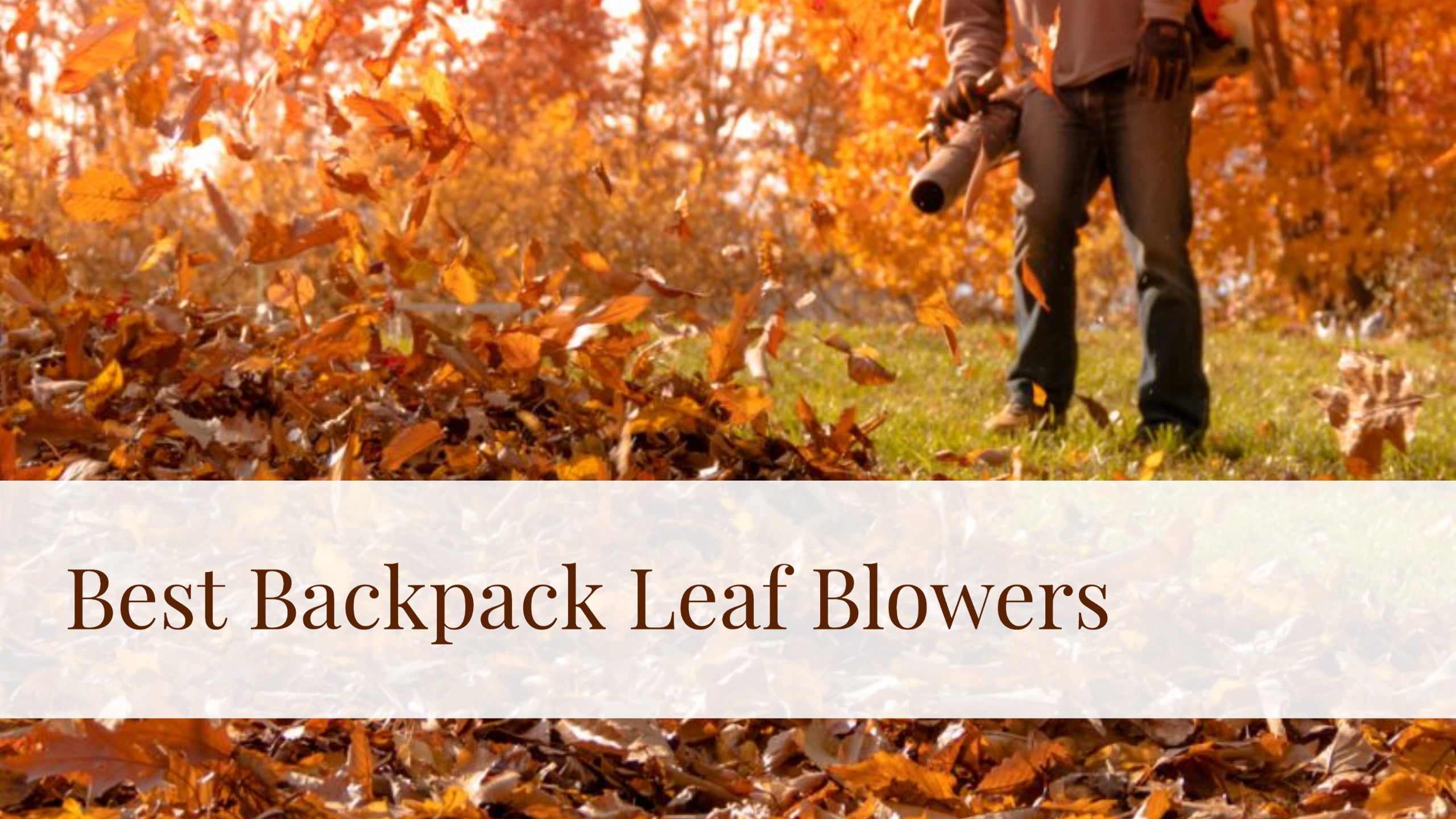Best Backpack Leaf Blowers 2022 Reviews, Buying Guide & Comparison