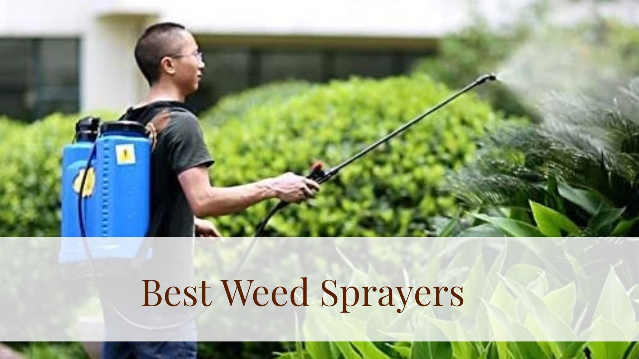 Best Weed Sprayers 2023 Reviews, Ratings & Comparisons