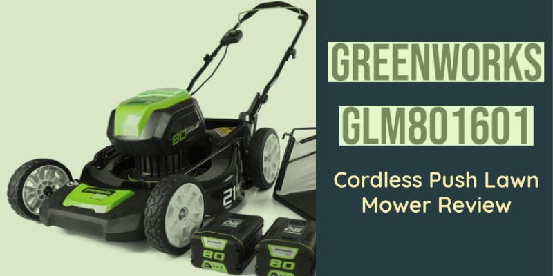 Greenworks GLM801601