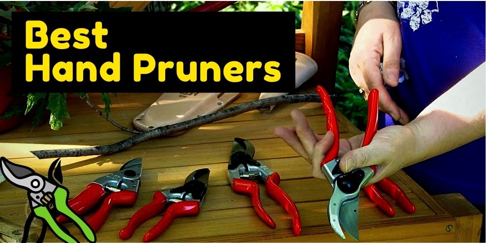 Best Hand Pruners: how to choose?