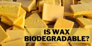 Is wax biodegradable? know all about it