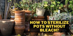 How to Sterilize Pots without Bleach?