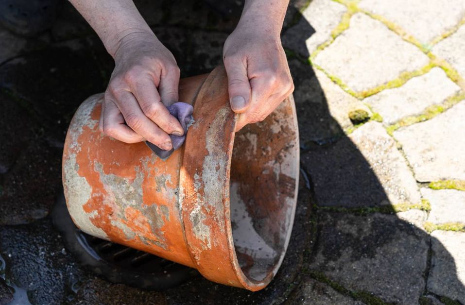 How to Sterilize Pots without Bleach?